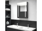 Grey LED mirrored bathroom cabinet 50x13x70 cm OYJC31585