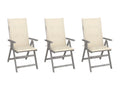 Domopure ZZIL93027 Wooden Garden Reclining Chairs, Set of 3 with Cushions