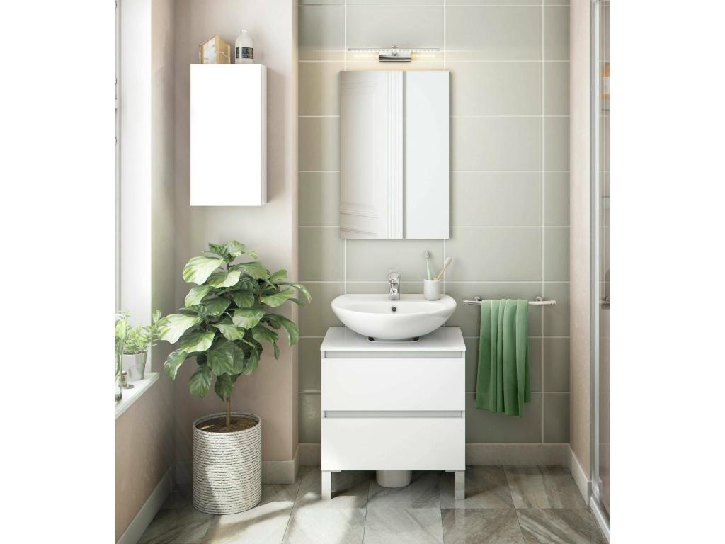 Chicyla Wall Cabinet, Hanging Cabinet, Wall Shelf, Multifunctional Auxiliary Cabinet, 30x16 h60 cm, Glossy White, NOTW52932