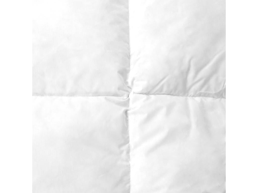 Domopure winter duvet 260x240 cm, natural duck down filling 500 g/m2 LCPK29021
